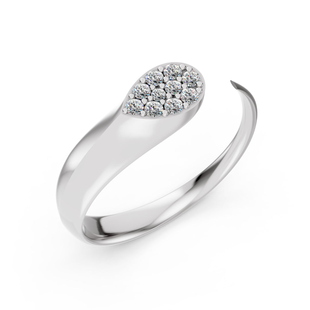 The Raindrop Cluster Ring