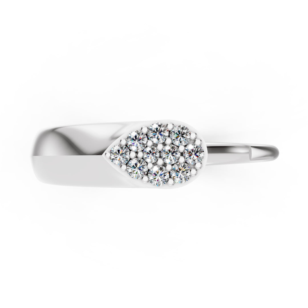 The Raindrop Cluster Ring