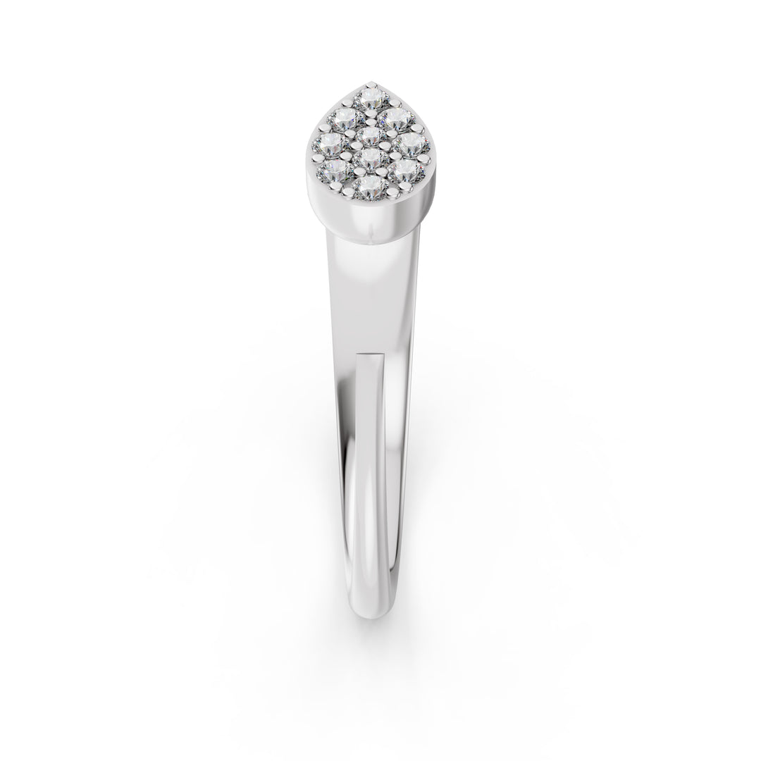 The Raindrop Cluster Ring