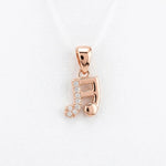 Load image into Gallery viewer, Everyday Pendant Charms